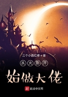 從火影開始做大佬在線閱讀