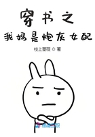 穿書之我媽是炮灰女配在線閱讀