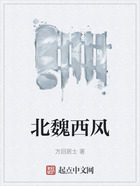 北魏西風在線閱讀