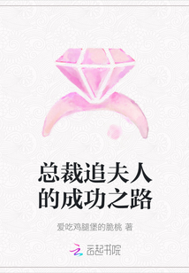 總裁追夫人的成功之路