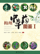 梅州中草药图鉴Ⅰ在线阅读