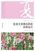 “我的青春我的梦”全国中学生校园美文精品集萃丛书:比夏天更漫长的是诗和远方在线阅读