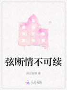 弦断情不可续在线阅读
