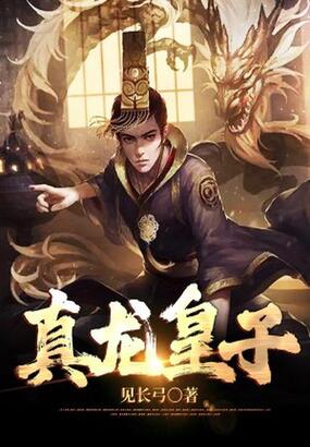 真龙皇子在线阅读