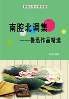 南腔北调集：鲁迅作品精选（中国文学大师经典必读）