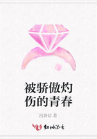 被驕傲灼傷的青春在線閱讀