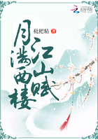 月滿西樓江山賦在線閱讀