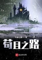 苟且之路在线阅读