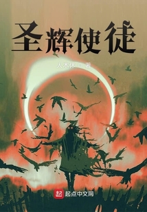 圣輝使徒