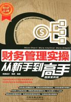 财务管理实操从新手到高手(图解案例版)在线阅读