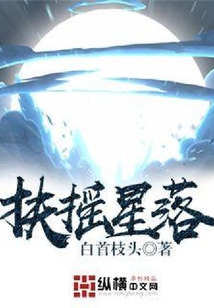 扶搖星落