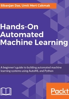 Hands-On Automated Machine Learning在线阅读