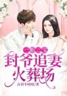一胎三寶：封爺追妻火葬場