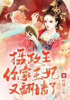摄政王,你家王妃又翻墙了