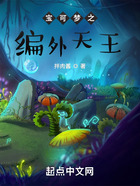 宝可梦之编外天王在线阅读