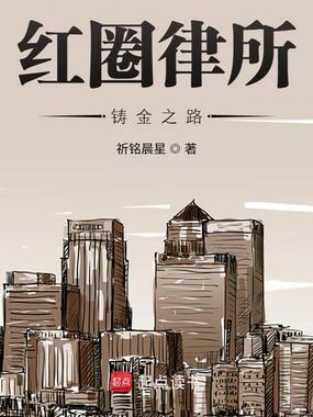 红圈律所：铸金之路在线阅读
