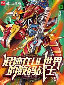 混跡在DC世界的數碼戰士