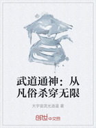 武道通神：从凡俗杀穿无限在线阅读