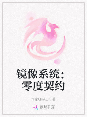 镜像系统：零度契约在线阅读