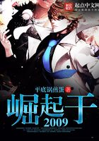 崛起于2009在線閱讀