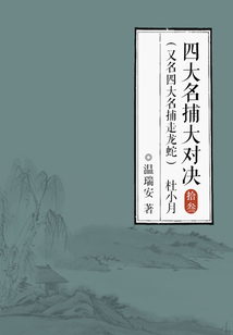 四大名捕大對決（又名四大名捕走龍蛇）13：杜小月