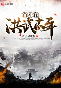 奋斗在洪武末年 封面