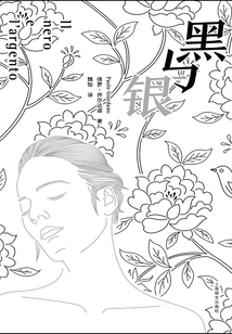 黑與銀