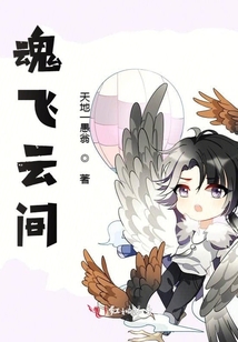 魂飛云間