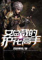 女总裁的护花高手