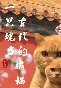 一只魂穿古代的橘貓