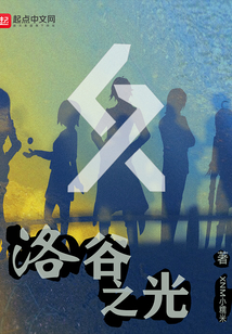 洛谷之光