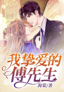 我摯愛的傅先生