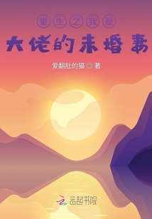 重生之我是大佬的未婚妻
