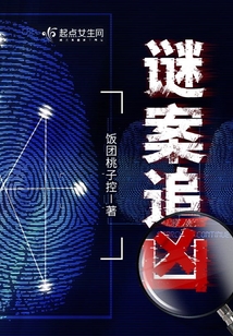 谜案追凶在线阅读