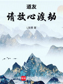 道友請放心渡劫