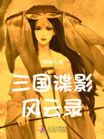 三國諜影風云錄