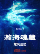 瀚海魂藏:龙凤浩劫
