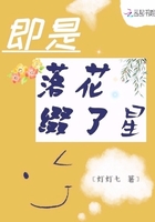 即是落花綴了星在線閱讀