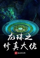 龍珠之修真大佬在線閱讀