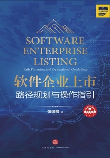 軟件企業(yè)上市：路徑規(guī)劃與操作指引