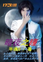 暗夜之瞳在线阅读