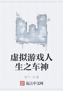 虛擬游戲人生之車神
