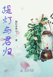 提燈與君歸