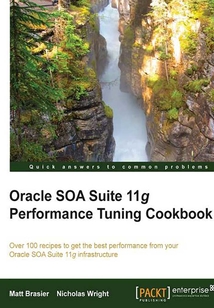 Oracle SOA Suite 11g Performance Tuning Cookbook