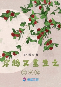 穿越又重生之世子妃