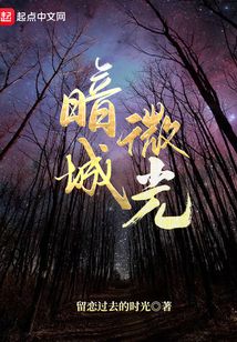 暗城微光