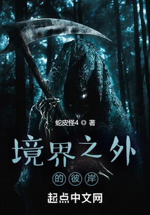 境界之外的彼岸