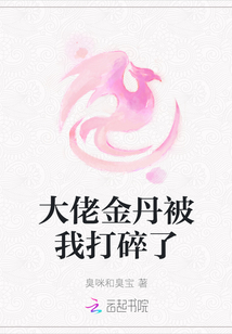 大佬金丹被我打碎了