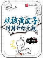 從被黃皮子討封開始無敵在線閱讀