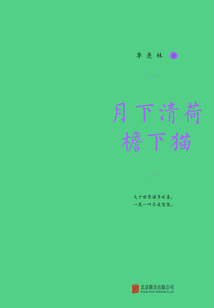 月下清荷檐下猫